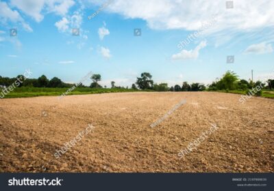 stock-photo-empty-dry-cracked-swamp-reclamation-soil-land-plot-for-housing-construction-project-with-car-tire-2197989839